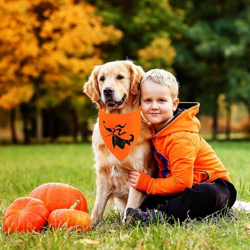 Halloween Dog Bandanas 2 Pack, Zore Dog and Jack Face Print, Nightmare Before Christmas Triangle Fall Pet Scarf, Premium Durable Fabric, Adjustable Fit (Halloween-1, Large) in Saudi Arabia