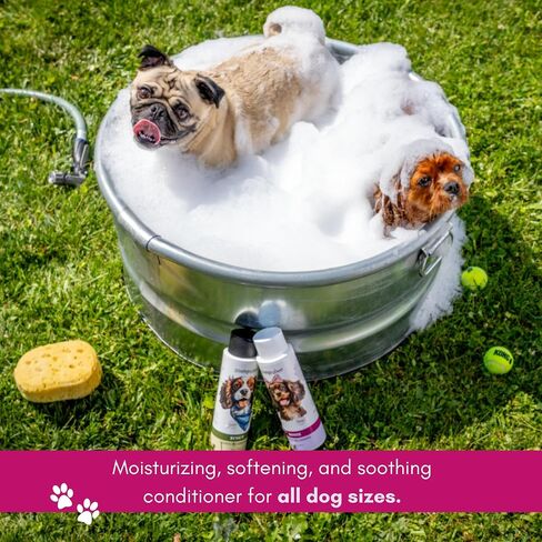 Rosie Scented Dog Shampoo - Best Pet Shampoo for Dogs - Floral Scented Moisturizing & Hydrating Doggy Shampoo - Makes Combing Easier, Promotes Fur Growth, Relieves Itchiness in Saudi Arabia