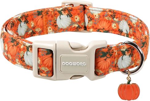 DOGWONG Fall Pumpkin Dog Collar- Cute Daisy Pumpkin Dog Collars Adjustable Orange Halloween Thanksgiving Dog Collar for Small Medium Large Dogs L in Kuwait