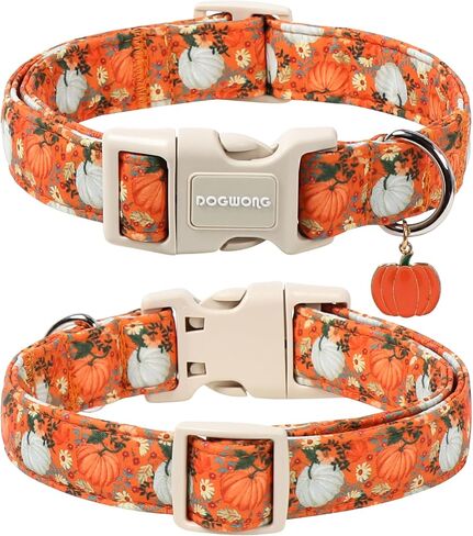 DOGWONG Fall Pumpkin Dog Collar- Cute Daisy Pumpkin Dog Collars Adjustable Orange Halloween Thanksgiving Dog Collar for Small Medium Large Dogs L in Kuwait