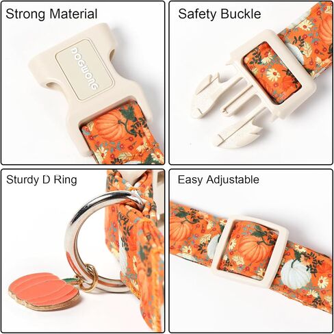 DOGWONG Fall Pumpkin Dog Collar- Cute Daisy Pumpkin Dog Collars Adjustable Orange Halloween Thanksgiving Dog Collar for Small Medium Large Dogs L in Kuwait