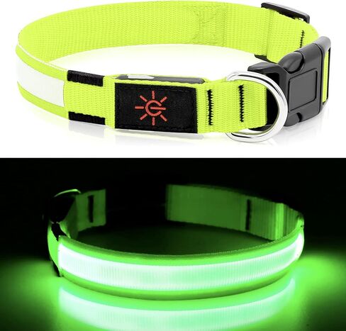 LED Dog Collar - Light Up, Waterproof, Adjustable Flashing, Rechargeable Visibility & Safety for Dogs (Green, Large) in Kuwait