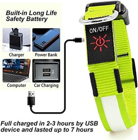 LED Dog Collar - Light Up, Waterproof, Adjustable Flashing, Rechargeable Visibility & Safety for Dogs (Green, Large) in Kuwait