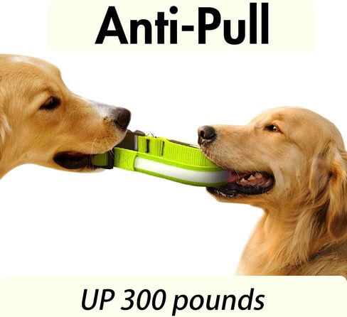 LED Dog Collar - Light Up, Waterproof, Adjustable Flashing, Rechargeable Visibility & Safety for Dogs (Green, Large) in Kuwait