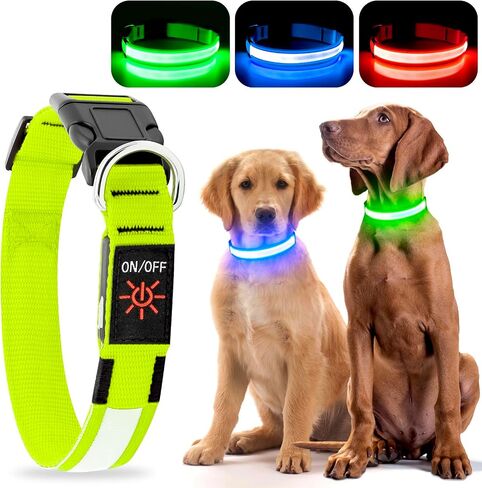 LED Dog Collar - Light Up, Waterproof, Adjustable Flashing, Rechargeable Visibility & Safety for Dogs (Green, Large) in Kuwait