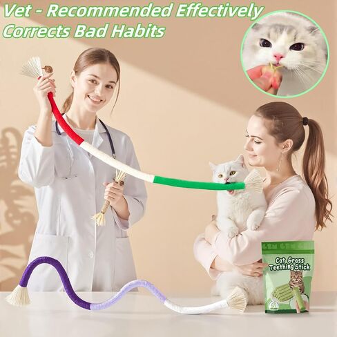 6Pack Cat Toys Cats Treat Treat Catnip Toy with Silvervine للألعاب القطنية الداخلية من الخشب Kitty Chew Rope Sticks لتنظيف الأسنان وجبات خفيفة من أجل Catnip Care Care Play in Kuwait