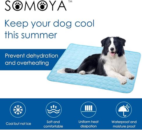 SOMOYA Dog Self Cooling Mat Pet Washable Cooling Pads Blanket Sleeping Kennel Mat,Ice Silk Sleep Mat Pad Non-Toxic Breathable Sleep Bed Beach for Large Dogs Cats (Blue, 27.5x39.4 in) in Kuwait