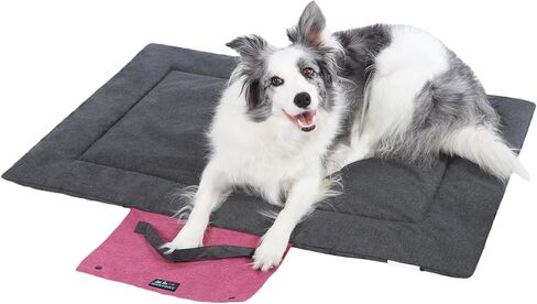 Outdoor Foldable Dog Mat Durable Teflon-Coated Oxford Material Waterproof Thin Dog pad Travel-Friendly Machine Washable Design for Camping/Car (Yellow, Small (27.6 * 19.7 * 1.57 in)) in Saudi Arabia