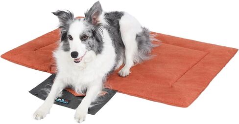 Outdoor Foldable Dog Mat Durable Teflon-Coated Oxford Material Waterproof Thin Dog pad Travel-Friendly Machine Washable Design for Camping/Car (Yellow, Small (27.6 * 19.7 * 1.57 in)) in Saudi Arabia