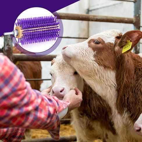 Willinglong 2 Pcs 4 Inches Livestock Mini Drill Scratch Brush Purple Brush Grooming Kit Suitable for Cattle, Cows, Horses, Sheep and Pigs in Saudi Arabia
