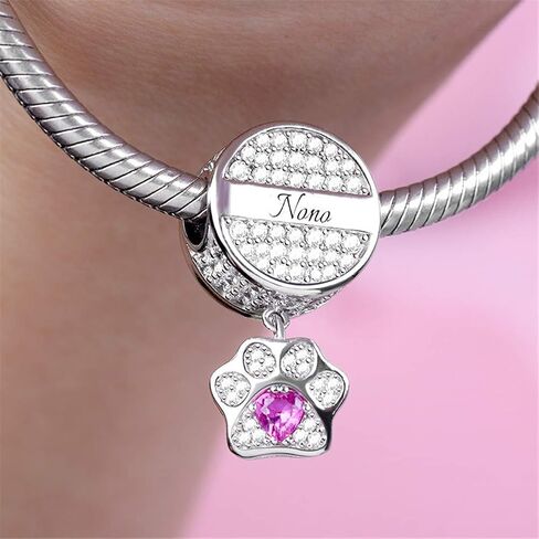 GNOCE Cat Dog Charms Pendant Sterling Silver Customised Photo Dangle Charms "My Pet, My Family" Engravable Picture Charm with Pet Paw fit for Bracelet/Necklace (Style-2) in Saudi Arabia