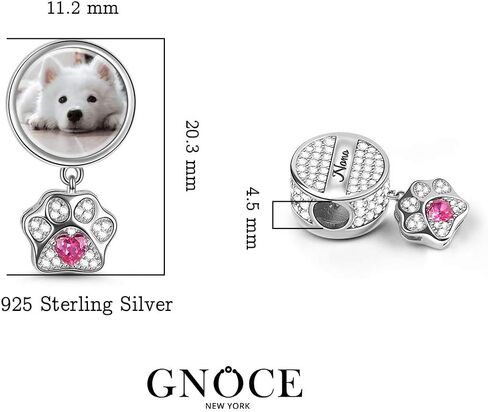 GNOCE Cat Dog Charms Pendant Sterling Silver Customised Photo Dangle Charms "My Pet, My Family" Engravable Picture Charm with Pet Paw fit for Bracelet/Necklace (Style-2) in Saudi Arabia