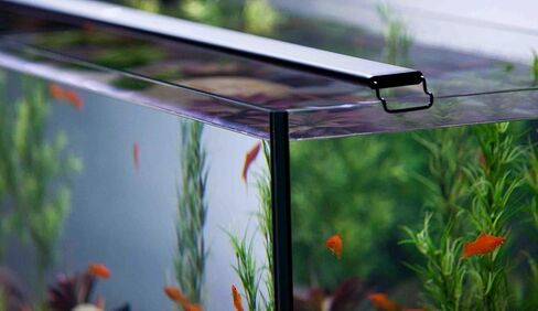 CURRENT USA 24-36" Satellite Color RGBW Full-Spectrum LED Aquarium Light - Freshwater, Wireless 24-Hour Timer, Adjustable Tank Mounts (4511) in Saudi Arabia