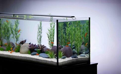 CURRENT USA 24-36" Satellite Color RGBW Full-Spectrum LED Aquarium Light - Freshwater, Wireless 24-Hour Timer, Adjustable Tank Mounts (4511) in Saudi Arabia