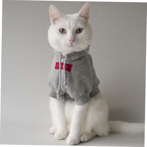 10pcs أجراس الحيوانات الأليفة للياقة الصغيرة طوق الكلب سحر DIY Craft Excedosities لـ Cat Kinten in Kuwait