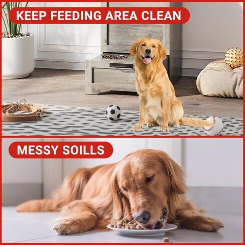 محطة تغذية الكلاب المرتفعة مع 2 أوعية من الفولاذ المقاوم للصدأ ، وخزانة لتخزين الطعام للحيوانات الأليفة وأعلى وصول in Kuwait