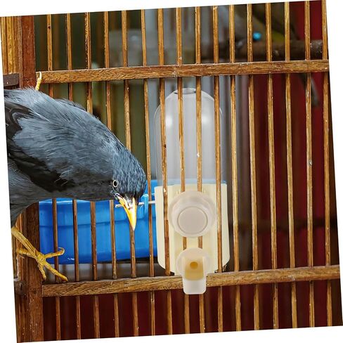 Toyvian Bird Water Dispenser for Pigeons and Quails Durable Space Saving Water Feeder Easy to Clean Drinker Bottle for Parrots and Poultry Compact Design for Small Cages in Saudi Arabia