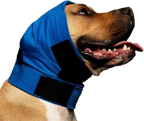 No Flap Ear Wrap (Red Pinpoint Mesh, Medium) in Saudi Arabia