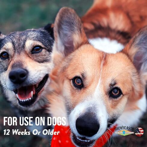Pumpkin Spice Conditioner for Dogs & Cats 1 Gallon | Cruelty-Free | Paraben-Free | Biodegradable and Non-Toxic | Made in The USA in Kuwait