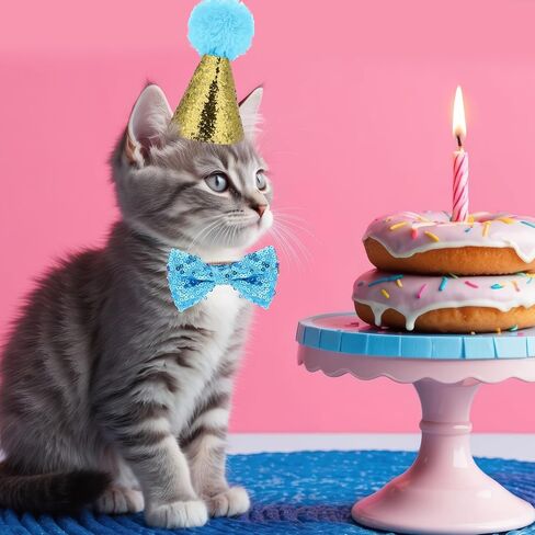 4 PCS CAT عيد ميلاد قبعة Bowtie ، وردي وأزرق صغير الكلب قبعة العجبة Topper Bowtie قابلة للضبط قابلة للتعديل Pet Party Hat و Tie Bow Breakaway مجموعة لذيذ القبعات القطط للقطط متوسطة الحيوانات الأليفة in Kuwait
