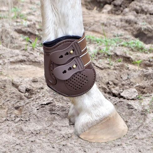 Jeffers Equine English Boots Boots Large - Premium Horse Leg Protection ، Neoprene preperated ، دعم قابل للتعديل ومريح ، خفيفة الوزن ودائم للتدريب ، القفز والركوب - Brown (زوج) in Kuwait