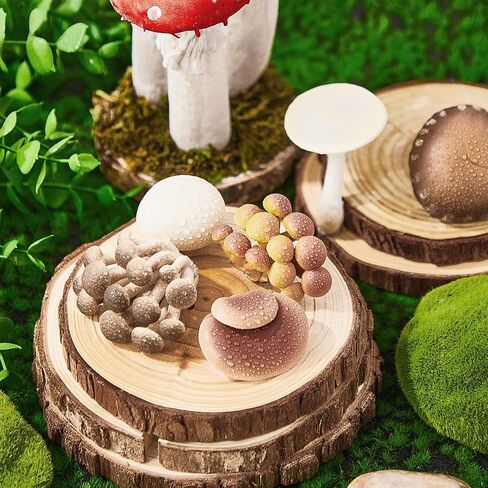 Deekin 12 PCS Figure Mini Miniatures التماثيل المصغرة المصغرة ديكور واقعية تحت عنوان الحفلات لمشاريع ديوراما التعلم هدايا عيد ميلاد (الفطر) in Saudi Arabia