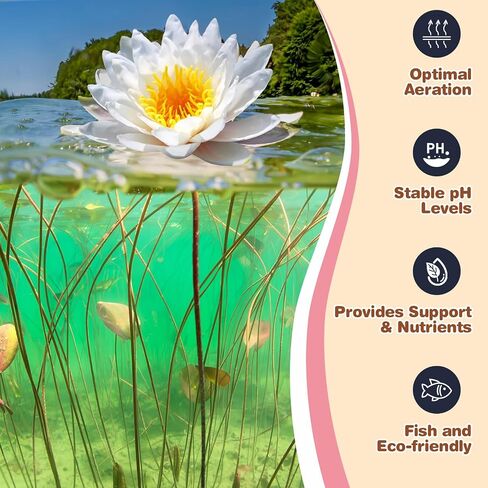 Aquatic Plant Soil & Aquarium Soil, Natural Organic Substrate for Water Plants - Safe for Fish, Nutrient-Rich Clay Base for Lotus & Water Lily (AquaticSoil, 3.3 LBS) in Saudi Arabia