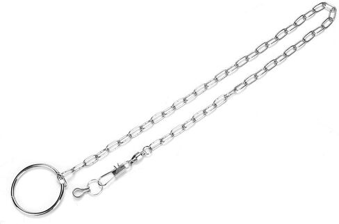 Fydun Bird Leash, Stainless Steel Pet Birds Foot Chain Anklet Leash, with Ankle Toys Training Harness Anti Bite Outdoor Flying Ing Rope (#4) in Saudi Arabia
