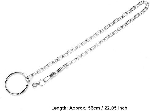 Fydun Bird Leash, Stainless Steel Pet Birds Foot Chain Anklet Leash, with Ankle Toys Training Harness Anti Bite Outdoor Flying Ing Rope (#4) in Saudi Arabia