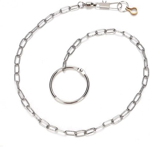 Fydun Bird Leash, Stainless Steel Pet Birds Foot Chain Anklet Leash, with Ankle Toys Training Harness Anti Bite Outdoor Flying Ing Rope (#4) in Saudi Arabia