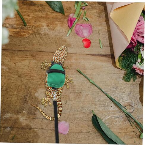 Happyyyami الملاحين Dragon Leash و Backpack تسخير الزواحف القابل للتعديل للاستكشاف في الهواء الطلق الحاملة السحلية المحمولة مع المقود للحيوانات الأليفة الصغيرة من السهل تنظيفها وراحة اللون الأخضر in Saudi Arabia