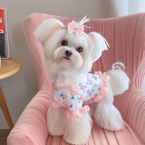 20 PCS Pink Small Size Dog Bows with Rubber Bands Elastic Dog Bow for Hair Handmade Lace Rhinestone Pearls Cute Dogs Bow Knot for Girl Female Doggy Poodle Pet Animal Grooming Accessories in Kuwait