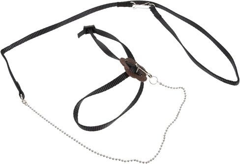 DECHOUS Adjustable Turtle Leash PET Training Harness for Turtles and Reptiles Lightweight Traction Rope Safety Features Size S (Black) in Kuwait