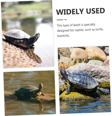 DECHOUS Adjustable Turtle Leash PET Training Harness for Turtles and Reptiles Lightweight Traction Rope Safety Features Size S (Black) in Kuwait