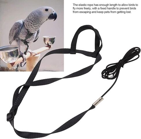 Bird Harness Leash Adjustable Parrot Flying Rope Bite Proof Outdoor Training Traction Rope Nylon Webbing Elastic Aviator Harness with Metal Buckle for Cockatiel Conure (XL) in Saudi Arabia