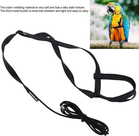 Bird Harness Leash Adjustable Parrot Flying Rope Bite Proof Outdoor Training Traction Rope Nylon Webbing Elastic Aviator Harness with Metal Buckle for Cockatiel Conure (XL) in Saudi Arabia