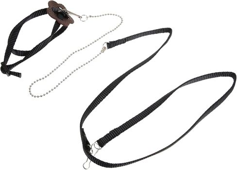 قابلة للتعديل Turtle Leash Rope Rope Training Training Leash للزواحف السلاحف والحيوانات الأليفة الصغيرة S (أسود) in Kuwait