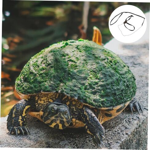 قابلة للتعديل Turtle Leash Rope Rope Training Training Leash للزواحف السلاحف والحيوانات الأليفة الصغيرة S (أسود) in Kuwait
