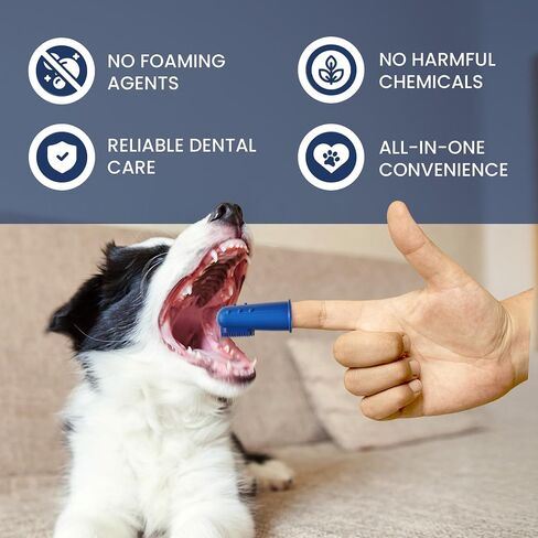 RadPet Advanced Dental Hygiene Kit for Cats & Dogs - Complete Oral Care with Toothbrush, Enzymatic Toothpaste, Dental Wipes, & Water Additive Vet Formulated Pet Toothpaste Kit in Saudi Arabia