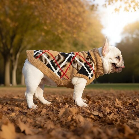 expawlorer سقوط الكلب سترة للكلاب الصغيرة medieum كبيرة ، pullover pullover turtleneck الطقس البارد الكلاسيكية ملابس الحيوانات الأليفة ملابس من النوع الثقيل لفتاة ، فتاة/فتى متماسكة مع ثقب مقود m beige m in Kuwait