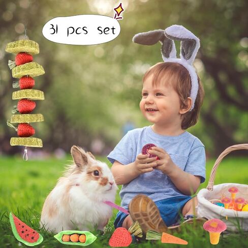 31 PCS ألعاب صغيرة مضغ الحيوانات الأليفة لصحة الأسنان - خشب التفاح الطبيعي ، العصي العشب تيموثا in Kuwait