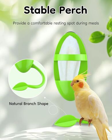 Pawfly 2 PCS Bird Birdbone Holder و Cittlefish Bone Parrot Rack و Resiling Biver مع جثم ، حامل بلاستيكي لعلاج الخضروات ، رف التغذية للوكاتيلز in Saudi Arabia