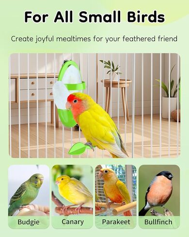 Pawfly 2 PCS Bird Birdbone Holder و Cittlefish Bone Parrot Rack و Resiling Biver مع جثم ، حامل بلاستيكي لعلاج الخضروات ، رف التغذية للوكاتيلز in Saudi Arabia