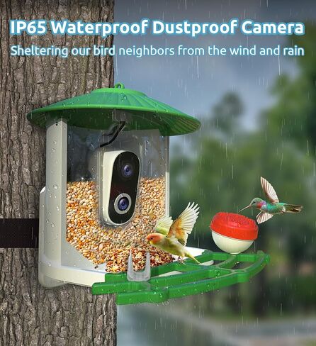 Bird Feeder with Camera, 2K HD AI Smart Identify BirdSpecies Video Camera with Solar Panel Outdoors Birdhouse with Cam, Instant Arrival Alerts, Capture BirdVideo Ideal Present for Bird Lover in Saudi Arabia