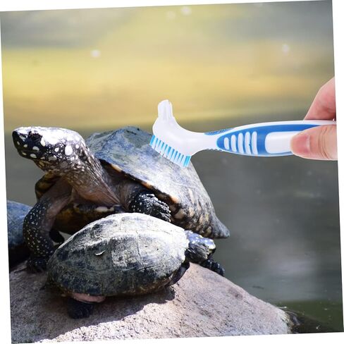 MERRYHAPY Double-Sided Turtle Shell Cleaning Brush Portable Tortoise Shell Brush for Aquatic Tank Care Removes Mud and Dirt Suction Cup for Turtle and Tortoise Maintenance in Saudi Arabia