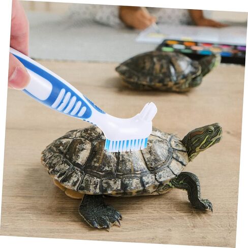 MERRYHAPY Double-Sided Turtle Shell Cleaning Brush Portable Tortoise Shell Brush for Aquatic Tank Care Removes Mud and Dirt Suction Cup for Turtle and Tortoise Maintenance in Saudi Arabia