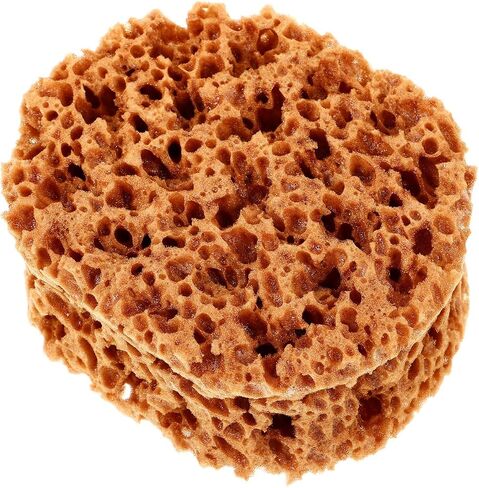 UPKOCH Natural Sea Sponge for Painting - 6" Eco-Friendly Texturing Tool for Faux Finish, Wall Art & DIY Crafts, Light Brown Drywall Sponge Brush with Organic Patterns in Saudi Arabia