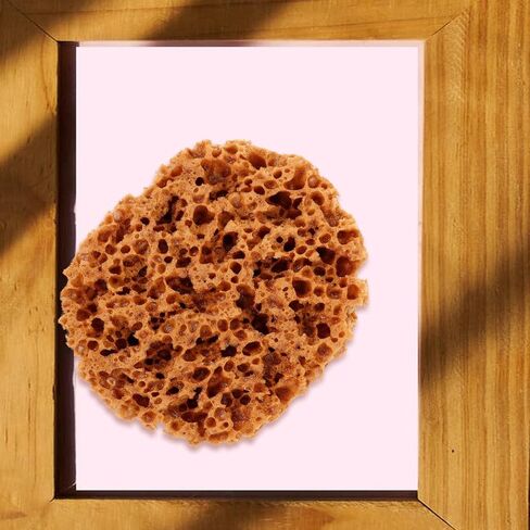 UPKOCH Natural Sea Sponge for Painting - 6" Eco-Friendly Texturing Tool for Faux Finish, Wall Art & DIY Crafts, Light Brown Drywall Sponge Brush with Organic Patterns in Saudi Arabia