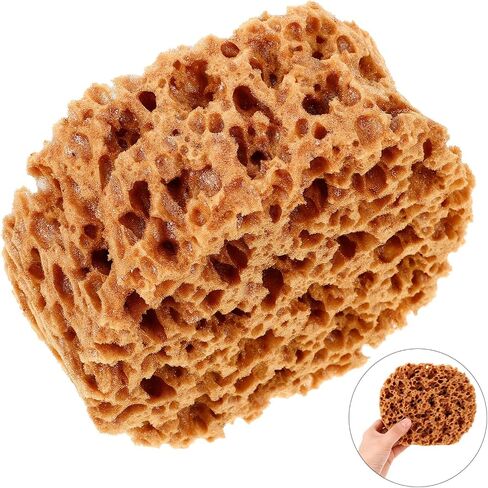UPKOCH Natural Sea Sponge for Painting - 6" Eco-Friendly Texturing Tool for Faux Finish, Wall Art & DIY Crafts, Light Brown Drywall Sponge Brush with Organic Patterns in Saudi Arabia