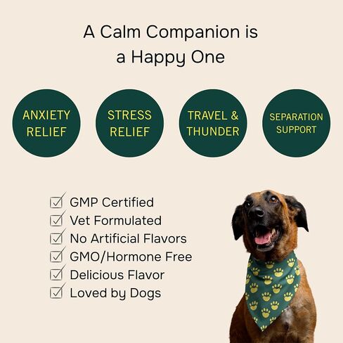 ملحق Petmeds الهادئ للكلاب - القلق والتوتر مع الفيتامينات ، ثيانين وبلسم الليمون - يدعم الكلاب أثناء السفر والرعد والفصل - نكهة البطاطا الحلوة - 60 مضغ ناعم in Kuwait